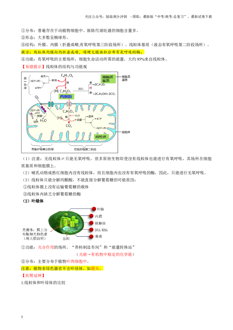 《第06讲细胞器和生物膜系统（讲义）（学生版）_06-生物-高考总复习_一轮复习_2025年_2025年高考生物一轮复习讲义+练习+课件（新教材新高考）_第二单元细胞的结构、功能和物质运输》第5页预览