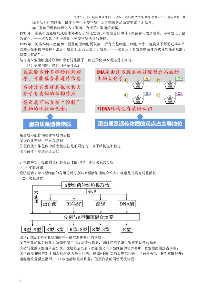 《第20讲DNA是主要的遗传物质（讲义）（教师版）_06-生物-高考总复习_一轮复习_2024年_2024年高考生物一轮复习讲练测(课件+讲义+练习)（新高考）_讲义+练习》第3页预览