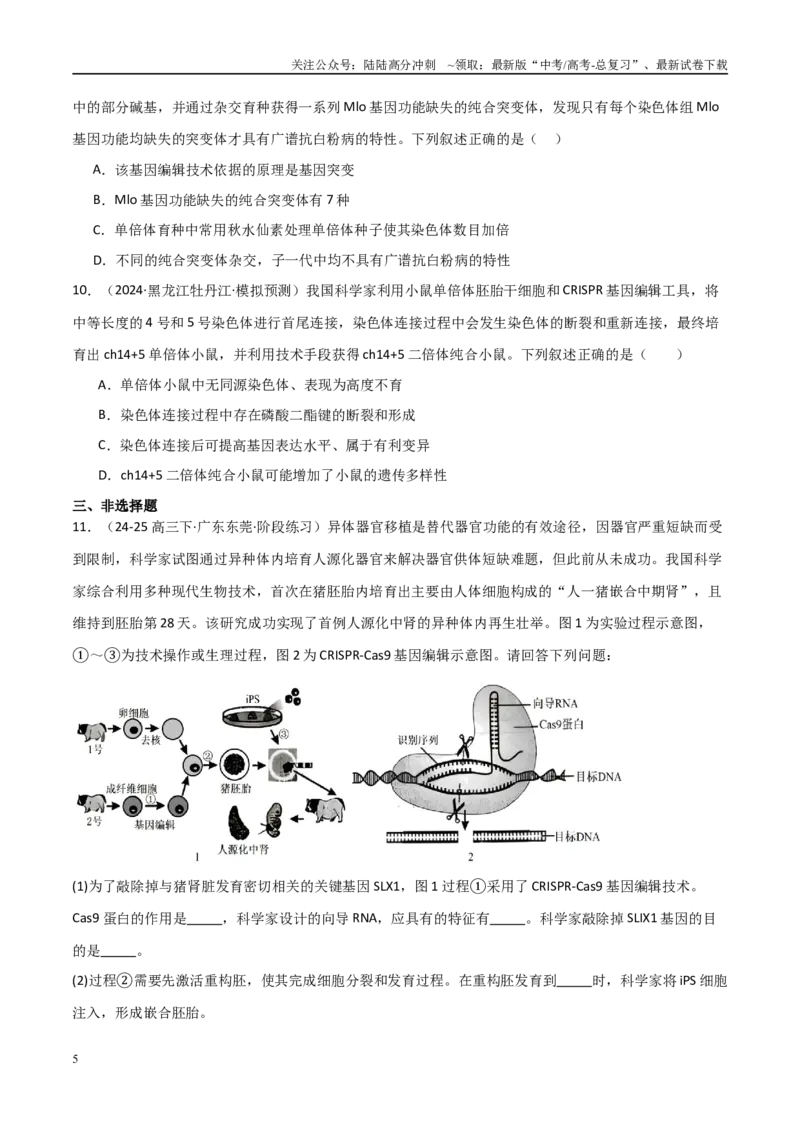 《热点02基因编辑与生物技术（CRISPRCas9等）（学生版）_06-生物-高考总复习_专项复习_2025年_2025年高考生物重难点讲义专练（新高考通用）》第5页预览