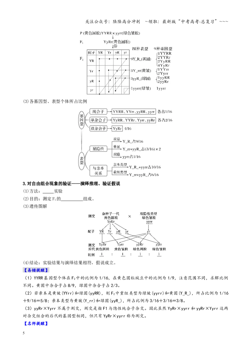《第16讲自由组合定律（复习讲义）（全国通用）（学生版）_06-生物-高考总复习_一轮复习_2026年-生物高考一轮复习_2026年高考生物一轮复习讲义+练习+课件（新教材新高考）-G55_2026版》第5页预览