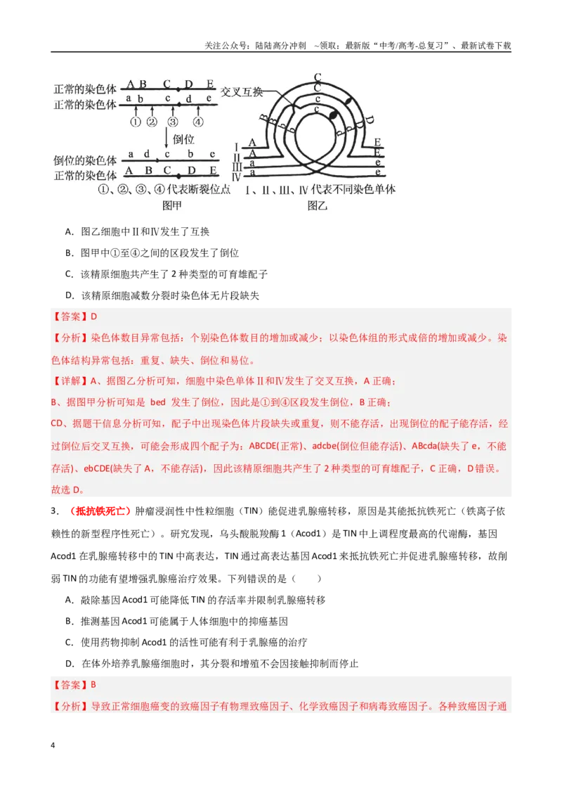 《专题12生物的变异与进化（解析版）_06-生物-高考总复习_专项复习_2025年_2025年高考生物重难点讲义专练（新高考通用）》第4页预览