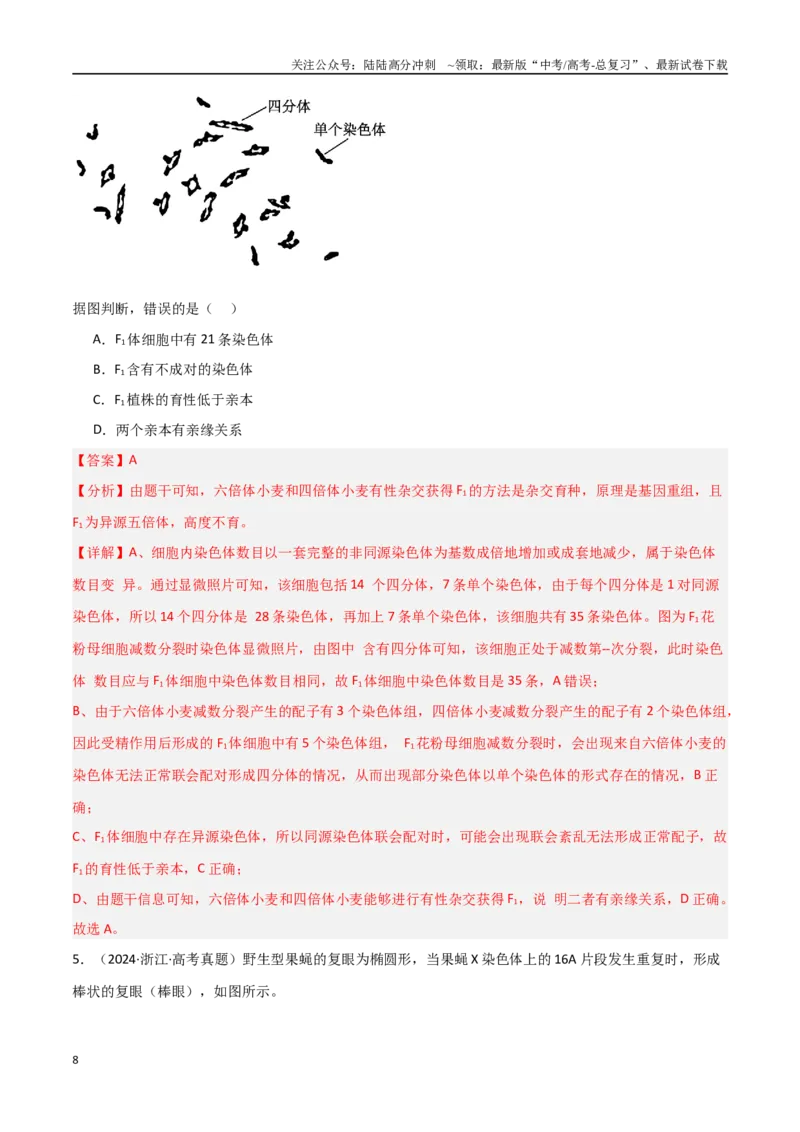 《专题12生物的变异与进化（解析版）_06-生物-高考总复习_专项复习_2025年_2025年高考生物重难点讲义专练（新高考通用）》第8页预览