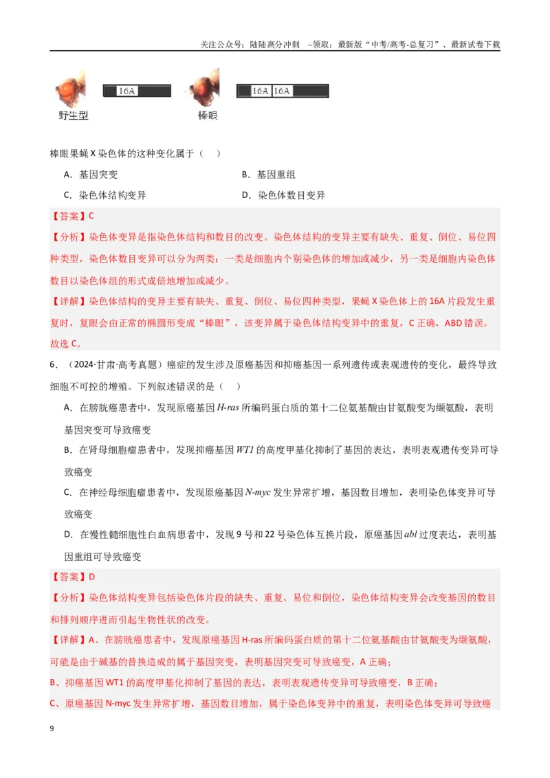 《专题12生物的变异与进化（解析版）_06-生物-高考总复习_专项复习_2025年_2025年高考生物重难点讲义专练（新高考通用）》第9页预览