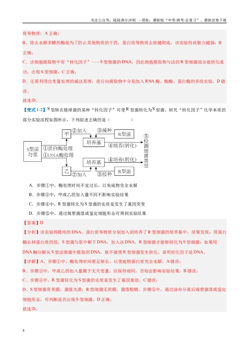 《专题10遗传的物质基础（10大题型）（教师版）_06-生物-高考总复习_一轮复习_2025年_2025年高考生物一轮复习题型全覆盖练习（新高考通用）》第3页预览