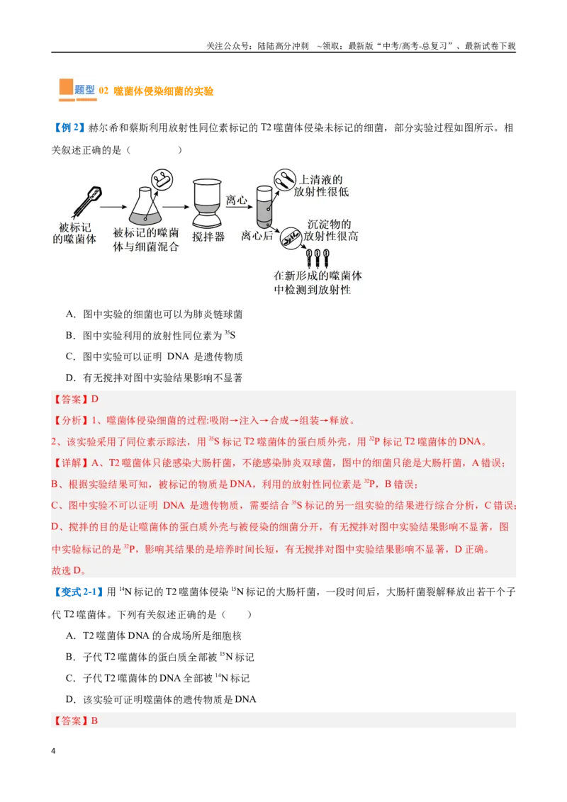 《专题10遗传的物质基础（10大题型）（教师版）_06-生物-高考总复习_一轮复习_2025年_2025年高考生物一轮复习题型全覆盖练习（新高考通用）》第4页预览