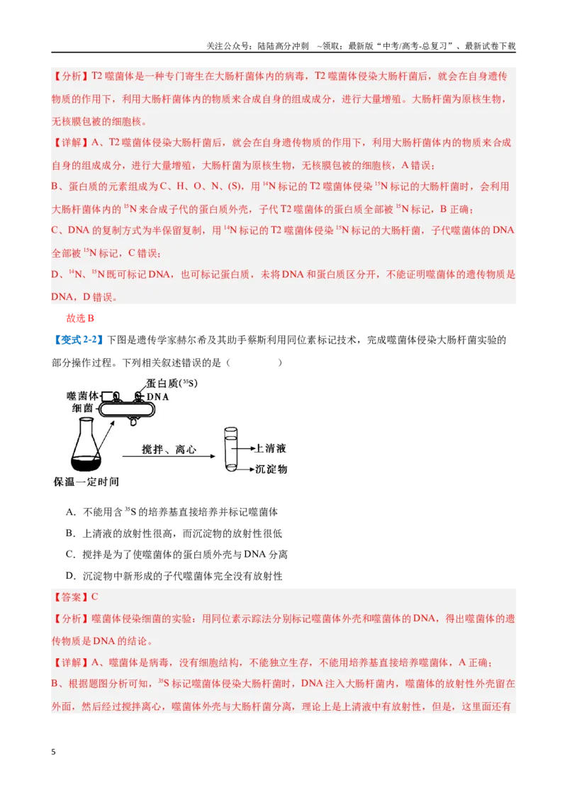 《专题10遗传的物质基础（10大题型）（教师版）_06-生物-高考总复习_一轮复习_2025年_2025年高考生物一轮复习题型全覆盖练习（新高考通用）》第5页预览