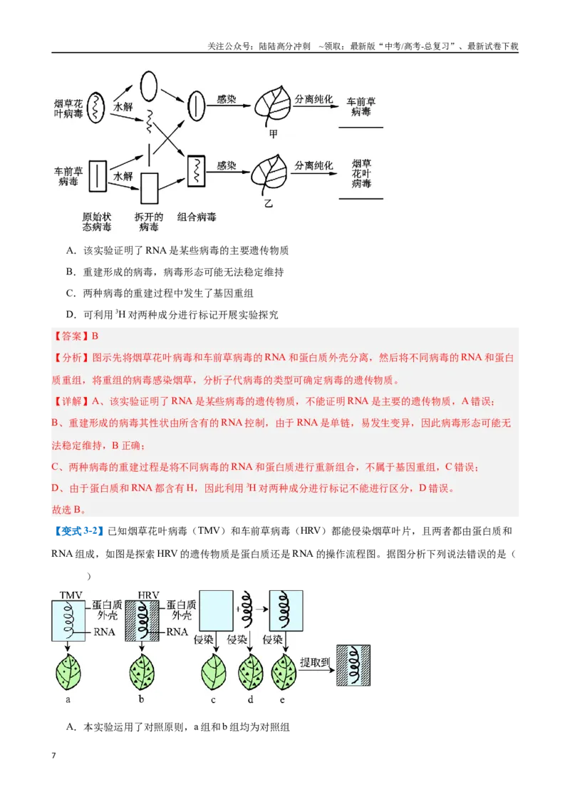 《专题10遗传的物质基础（10大题型）（教师版）_06-生物-高考总复习_一轮复习_2025年_2025年高考生物一轮复习题型全覆盖练习（新高考通用）》第7页预览