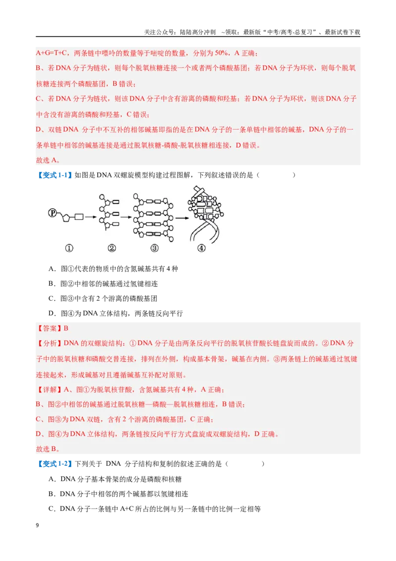 《专题10遗传的物质基础（10大题型）（教师版）_06-生物-高考总复习_一轮复习_2025年_2025年高考生物一轮复习题型全覆盖练习（新高考通用）》第9页预览