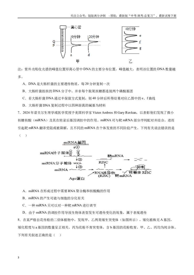 《生物（甘肃卷）（考试版）_06-生物-高考总复习_二轮复习_2025年_2025年高考生物第二次模拟卷26套_生物（甘肃卷）_生物（甘肃卷）-学易金卷：2025年高考第二次模拟考试》第3页预览
