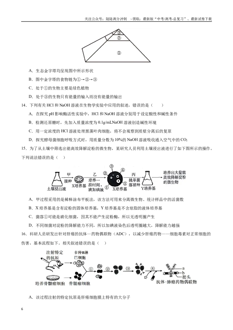 《生物（甘肃卷）（考试版）_06-生物-高考总复习_二轮复习_2025年_2025年高考生物第二次模拟卷26套_生物（甘肃卷）_生物（甘肃卷）-学易金卷：2025年高考第二次模拟考试》第6页预览