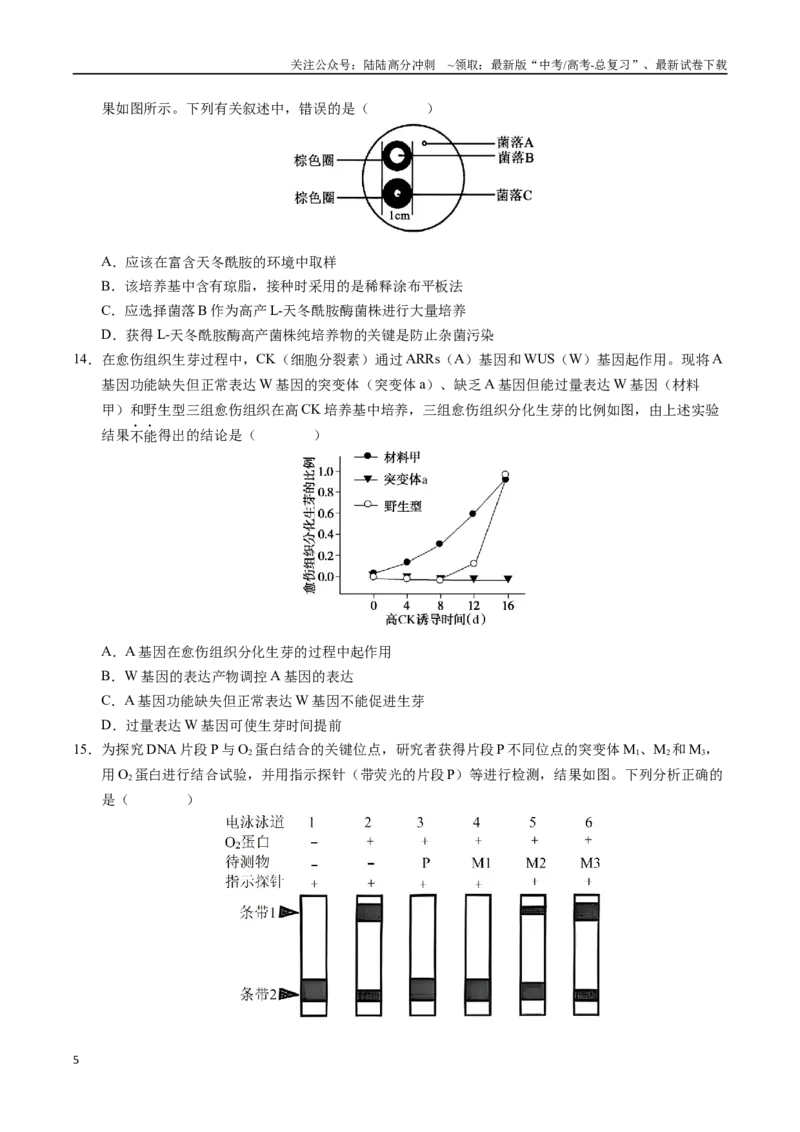 《生物（重庆卷01）（考试版）_06-生物-高考总复习_专项复习_2025年_2025年高考押题预测卷（多地区）生物》第5页预览