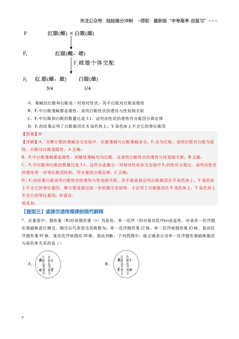 《第16讲伴性遗传和人类遗传病（专项训练）（黑吉辽蒙专用）（教师版）_06-生物-高考总复习_一轮复习_2026年-生物高考一轮复习_2026年高考生物一轮课件+讲义+练习（黑吉辽蒙专用）-G330》第4页预览