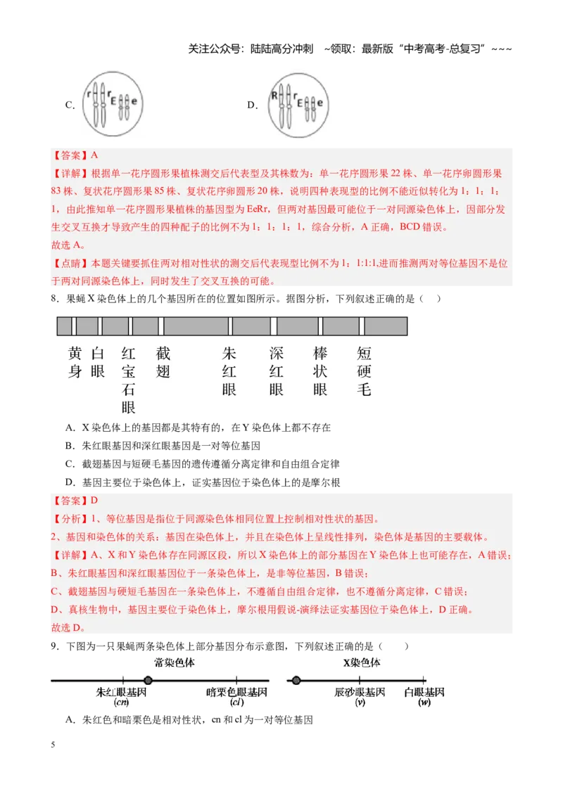 《第16讲伴性遗传和人类遗传病（专项训练）（黑吉辽蒙专用）（教师版）_06-生物-高考总复习_一轮复习_2026年-生物高考一轮复习_2026年高考生物一轮课件+讲义+练习（黑吉辽蒙专用）-G330》第5页预览