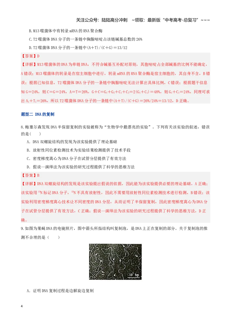 《第20讲DNA分子的结构、复制与基因的本质（湖南专用）（教师版）_06-生物-高考总复习_一轮复习_2026年-生物高考一轮复习_2026年高考生物一轮课件+讲义+练习（湖南专用）-G331》第4页预览