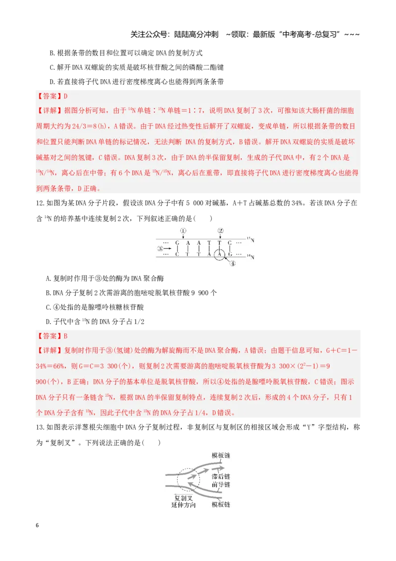 《第20讲DNA分子的结构、复制与基因的本质（湖南专用）（教师版）_06-生物-高考总复习_一轮复习_2026年-生物高考一轮复习_2026年高考生物一轮课件+讲义+练习（湖南专用）-G331》第6页预览