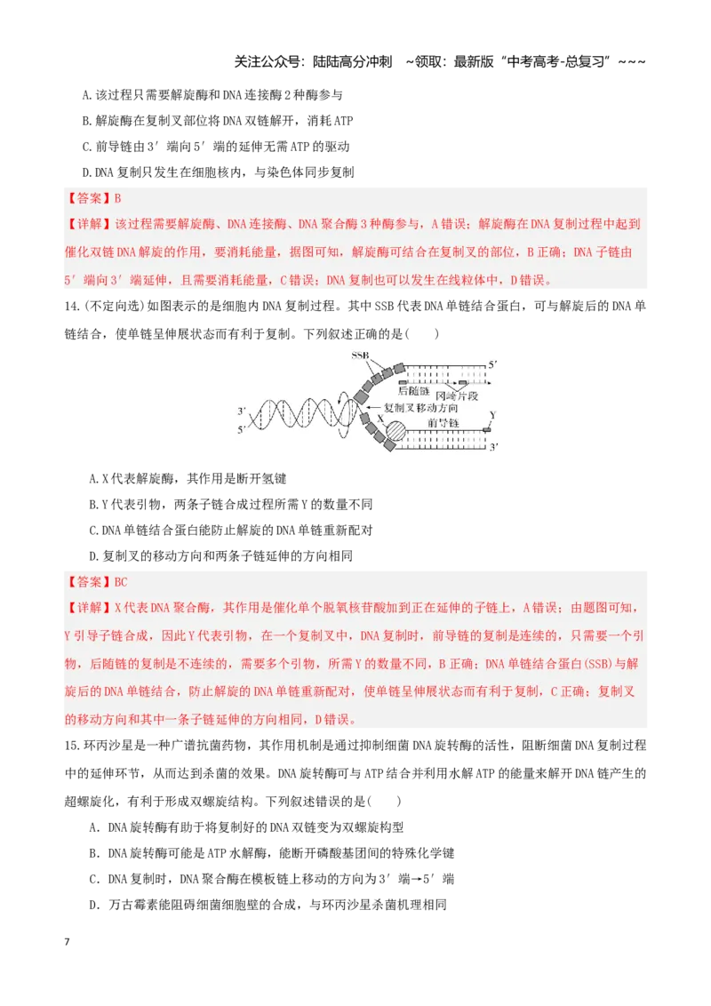 《第20讲DNA分子的结构、复制与基因的本质（湖南专用）（教师版）_06-生物-高考总复习_一轮复习_2026年-生物高考一轮复习_2026年高考生物一轮课件+讲义+练习（湖南专用）-G331》第7页预览
