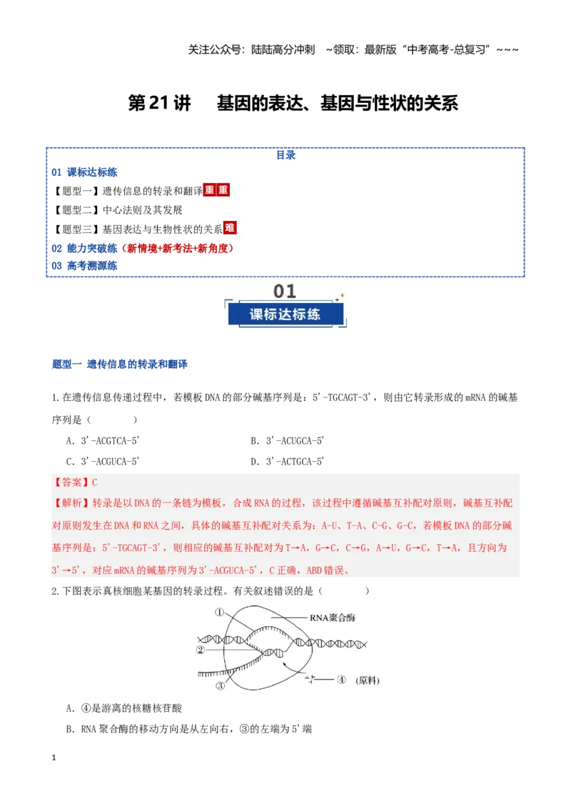 《第21讲基因的表达、基因与性状的关系（专项训练）（湖南专用）（教师版）_06-生物-高考总复习_一轮复习_2026年-生物高考一轮复习_2026年高考生物一轮课件+讲义+练习（湖南专用）-G331》第1页预览