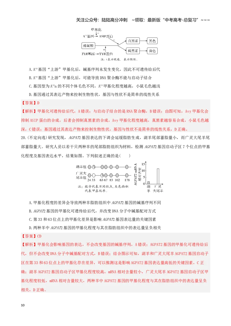《第21讲基因的表达、基因与性状的关系（专项训练）（湖南专用）（教师版）_06-生物-高考总复习_一轮复习_2026年-生物高考一轮复习_2026年高考生物一轮课件+讲义+练习（湖南专用）-G331》第10页预览