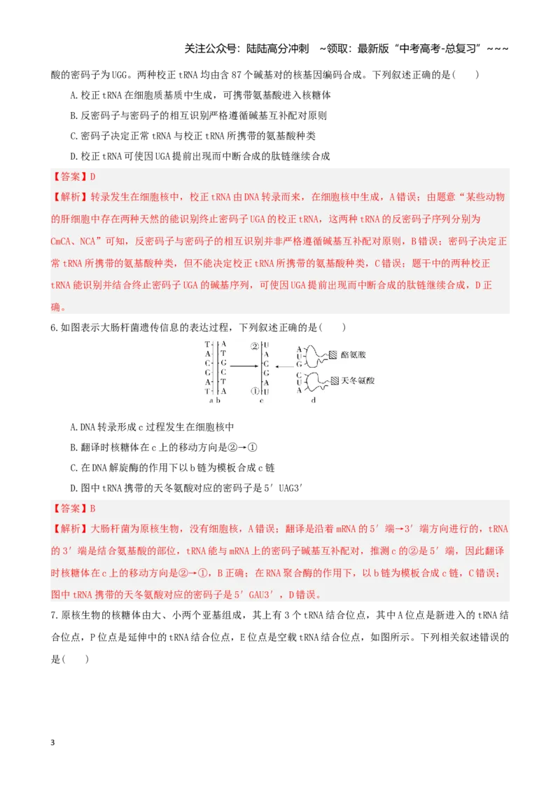 《第21讲基因的表达、基因与性状的关系（专项训练）（湖南专用）（教师版）_06-生物-高考总复习_一轮复习_2026年-生物高考一轮复习_2026年高考生物一轮课件+讲义+练习（湖南专用）-G331》第3页预览