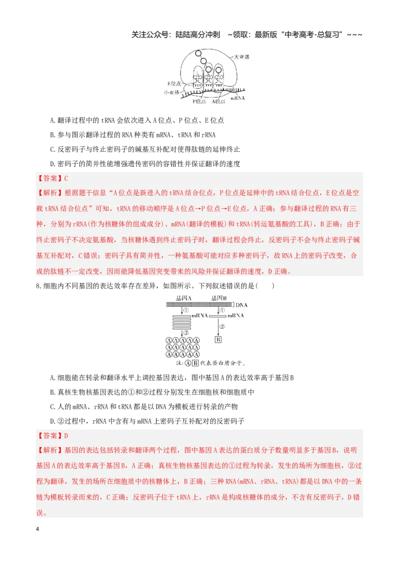 《第21讲基因的表达、基因与性状的关系（专项训练）（湖南专用）（教师版）_06-生物-高考总复习_一轮复习_2026年-生物高考一轮复习_2026年高考生物一轮课件+讲义+练习（湖南专用）-G331》第4页预览