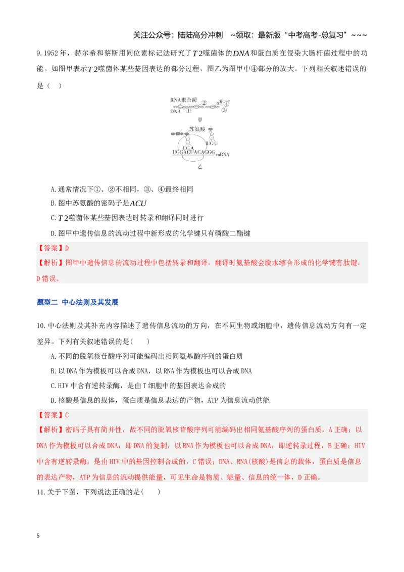 《第21讲基因的表达、基因与性状的关系（专项训练）（湖南专用）（教师版）_06-生物-高考总复习_一轮复习_2026年-生物高考一轮复习_2026年高考生物一轮课件+讲义+练习（湖南专用）-G331》第5页预览