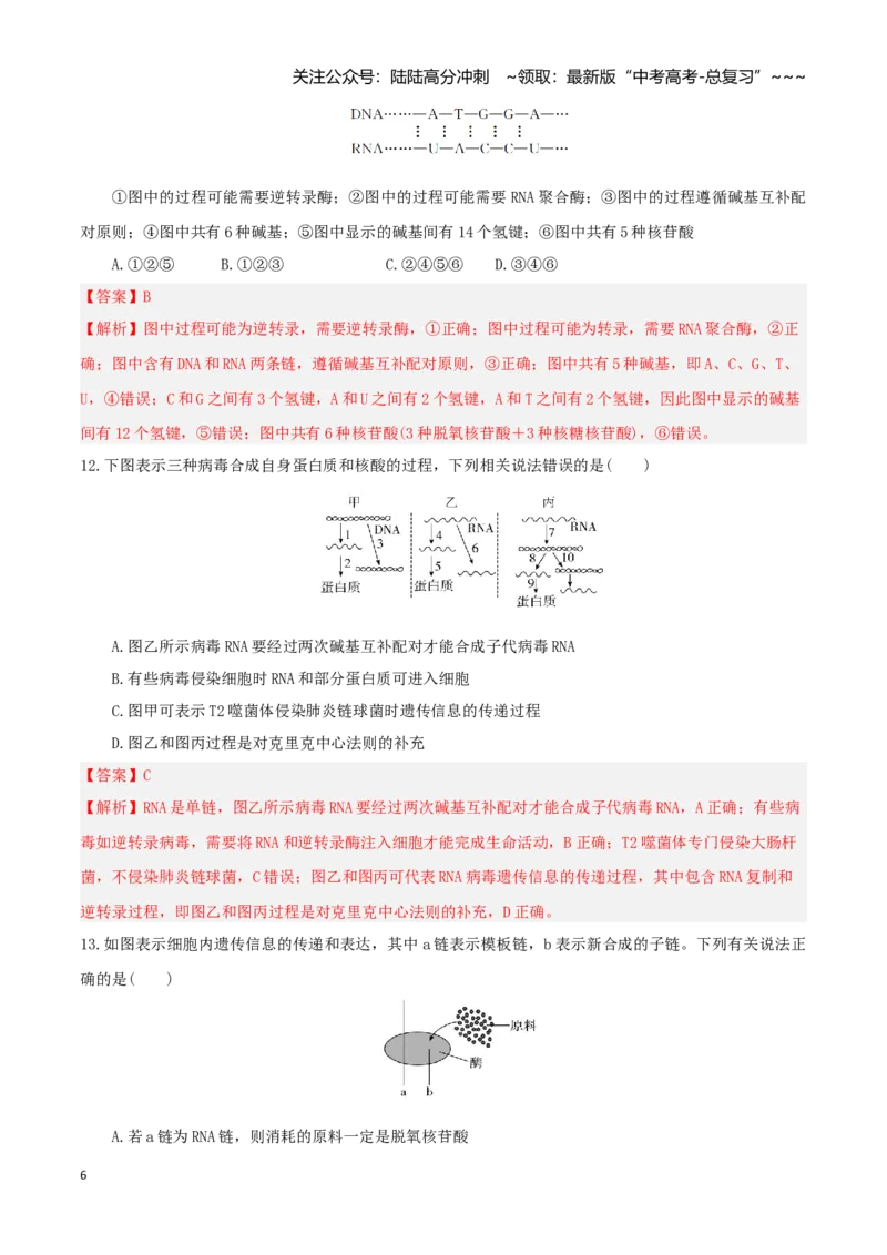 《第21讲基因的表达、基因与性状的关系（专项训练）（湖南专用）（教师版）_06-生物-高考总复习_一轮复习_2026年-生物高考一轮复习_2026年高考生物一轮课件+讲义+练习（湖南专用）-G331》第6页预览