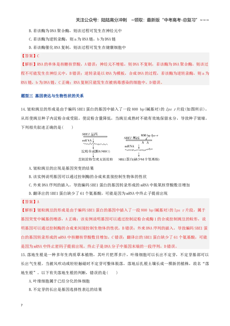 《第21讲基因的表达、基因与性状的关系（专项训练）（湖南专用）（教师版）_06-生物-高考总复习_一轮复习_2026年-生物高考一轮复习_2026年高考生物一轮课件+讲义+练习（湖南专用）-G331》第7页预览