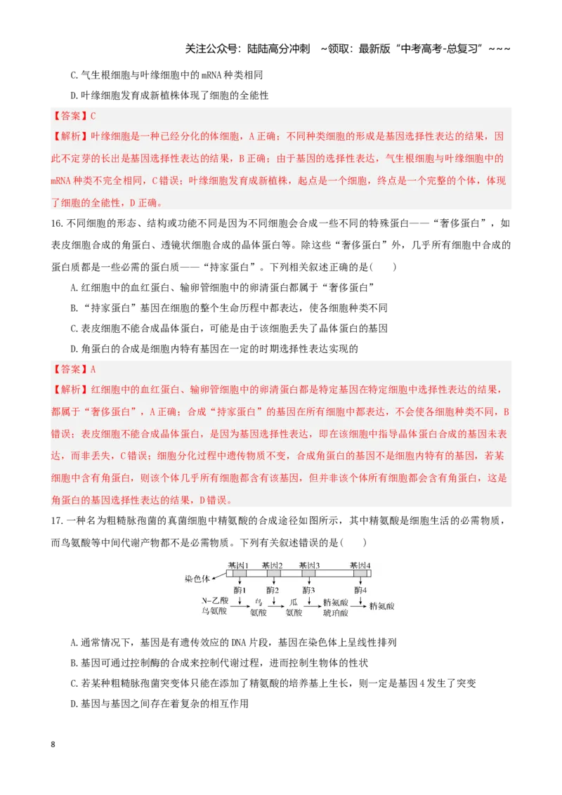 《第21讲基因的表达、基因与性状的关系（专项训练）（湖南专用）（教师版）_06-生物-高考总复习_一轮复习_2026年-生物高考一轮复习_2026年高考生物一轮课件+讲义+练习（湖南专用）-G331》第8页预览
