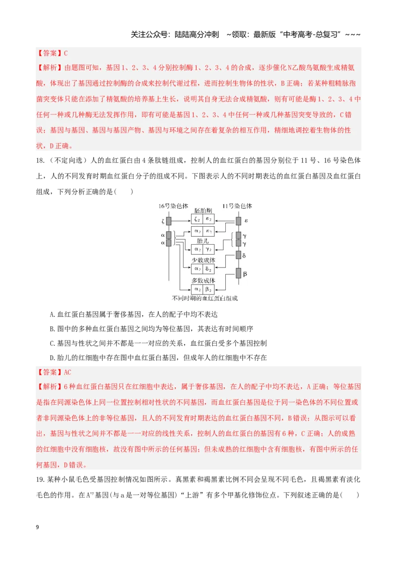 《第21讲基因的表达、基因与性状的关系（专项训练）（湖南专用）（教师版）_06-生物-高考总复习_一轮复习_2026年-生物高考一轮复习_2026年高考生物一轮课件+讲义+练习（湖南专用）-G331》第9页预览