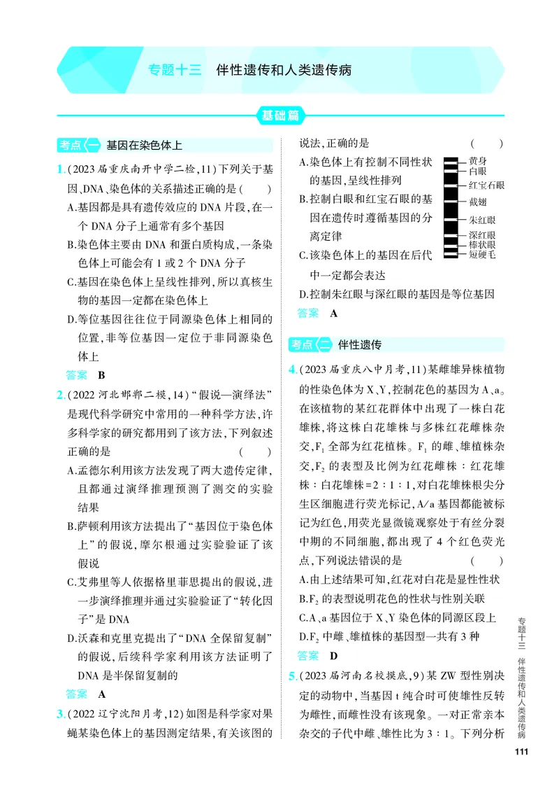 《1_13-专题十三　伴性遗传和人类遗传病（教参电子书—分层集训）_2024版教学资源包_2024版.新高考版生物.5·3A版_13_专题十三伴性遗传和人类遗传病_4_PDF教参电子书》第1页预览