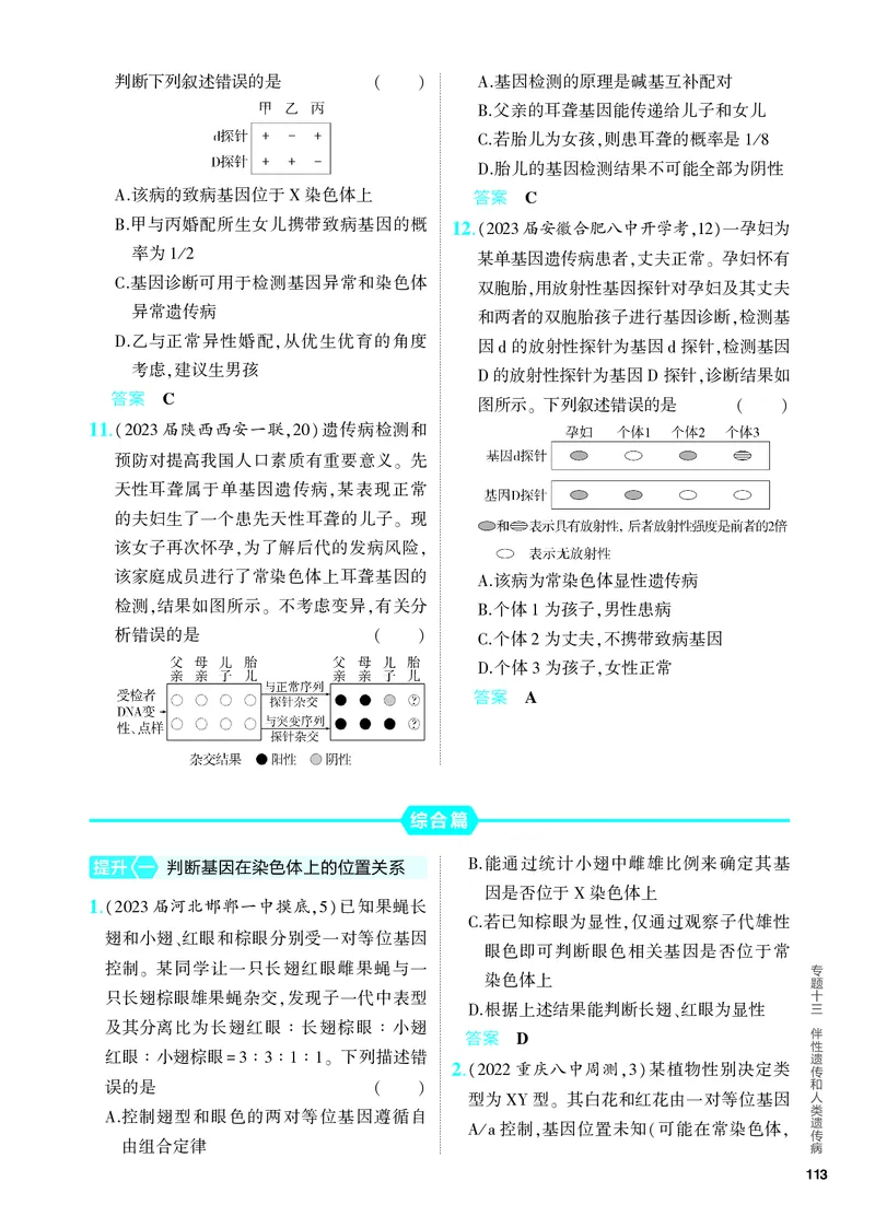 《1_13-专题十三　伴性遗传和人类遗传病（教参电子书—分层集训）_2024版教学资源包_2024版.新高考版生物.5·3A版_13_专题十三伴性遗传和人类遗传病_4_PDF教参电子书》第3页预览