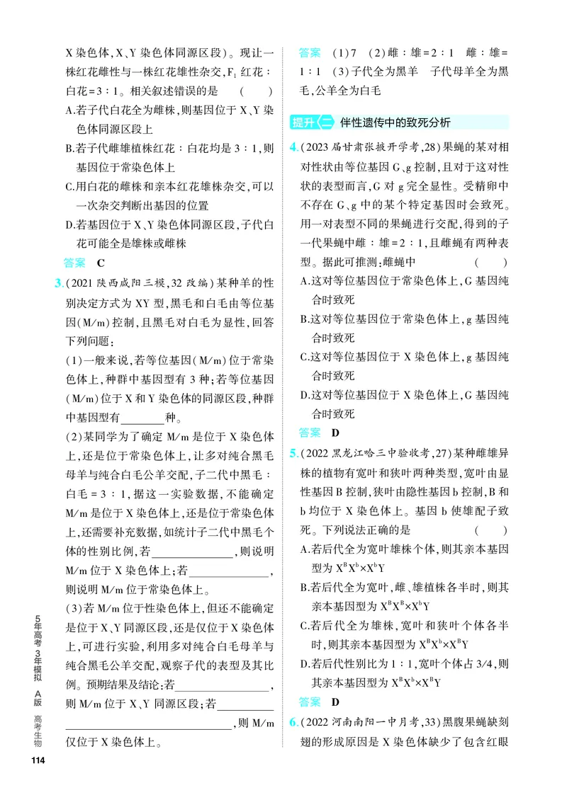 《1_13-专题十三　伴性遗传和人类遗传病（教参电子书—分层集训）_2024版教学资源包_2024版.新高考版生物.5·3A版_13_专题十三伴性遗传和人类遗传病_4_PDF教参电子书》第4页预览