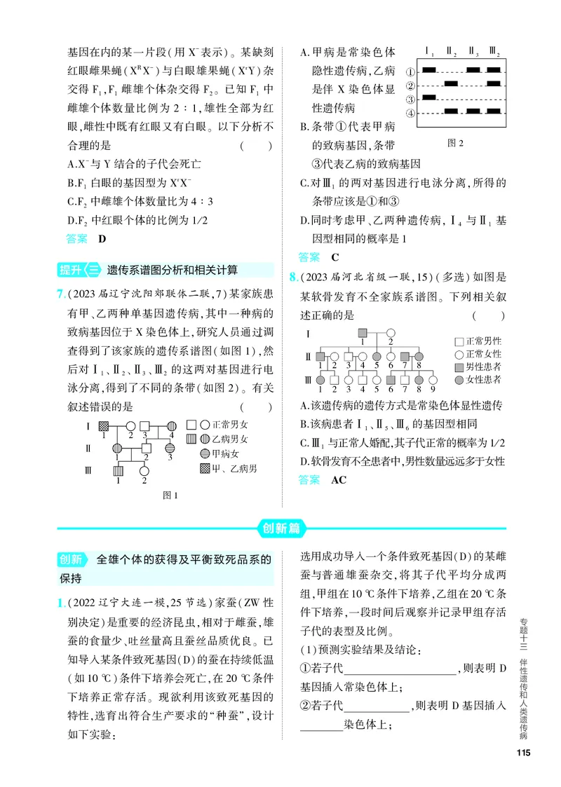 《1_13-专题十三　伴性遗传和人类遗传病（教参电子书—分层集训）_2024版教学资源包_2024版.新高考版生物.5·3A版_13_专题十三伴性遗传和人类遗传病_4_PDF教参电子书》第5页预览