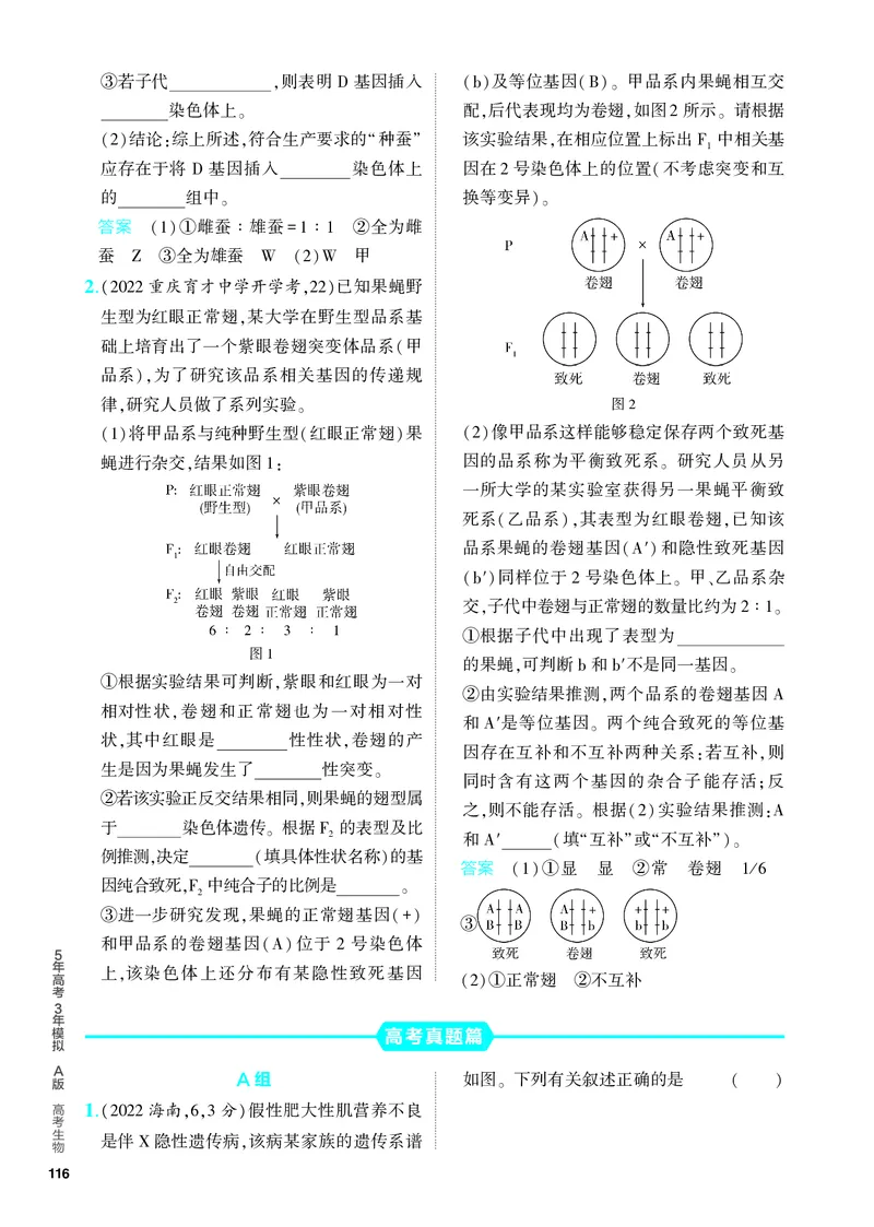 《1_13-专题十三　伴性遗传和人类遗传病（教参电子书—分层集训）_2024版教学资源包_2024版.新高考版生物.5·3A版_13_专题十三伴性遗传和人类遗传病_4_PDF教参电子书》第6页预览