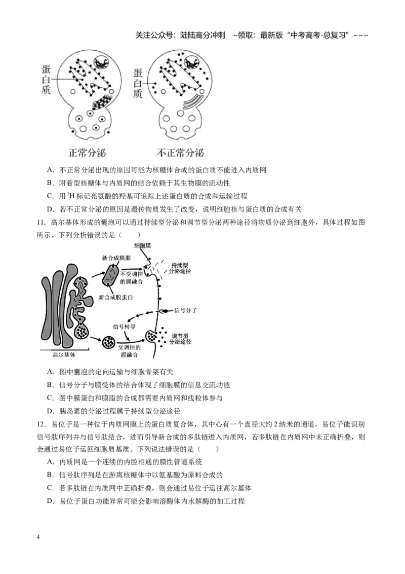 《第06讲细胞器之间的分工与合作（专项训练）（安徽专用）（学生版）_06-生物-高考总复习_一轮复习_2026年-生物高考一轮复习_2026年高考生物一轮课件+讲义+练习（安徽专用）-G326》第4页预览