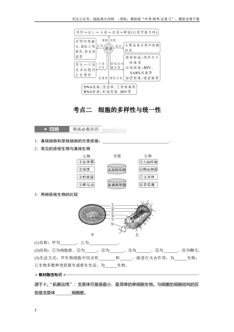 《第1单元　第1课时　走近细胞_06-生物-高考总复习_一轮复习_2024年_2024高考生物大一轮复习课件讲义新人教版知识总结_2024年高考生物一轮复习讲义（新人教版）_学生版在此文件夹》第5页预览