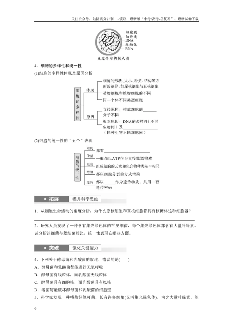 《第1单元　第1课时　走近细胞_06-生物-高考总复习_一轮复习_2024年_2024高考生物大一轮复习课件讲义新人教版知识总结_2024年高考生物一轮复习讲义（新人教版）_学生版在此文件夹》第6页预览