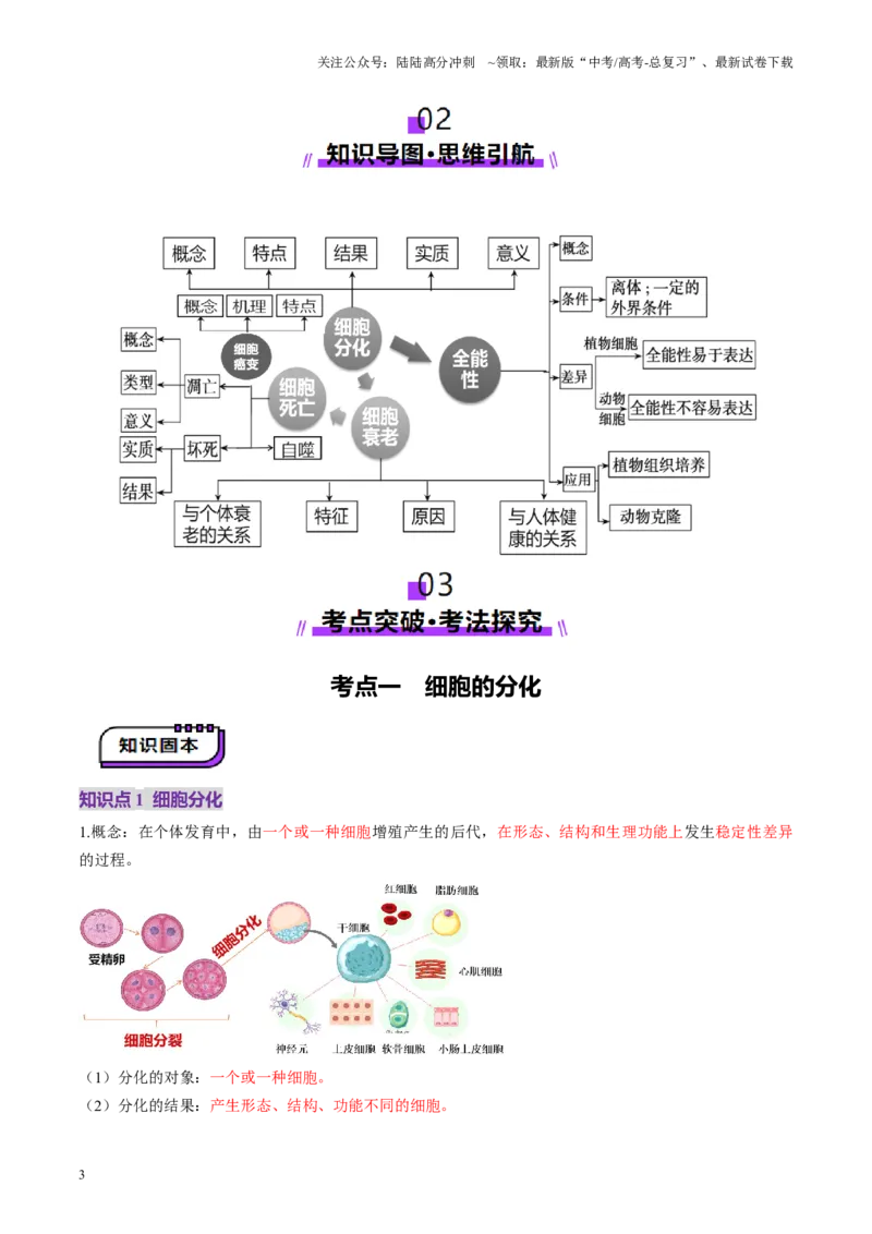 《第14讲细胞的分化、衰老、死亡和癌变（讲义）（学生版）_06-生物-高考总复习_一轮复习_2025年_2025年高考生物一轮复习讲义+练习+课件（新教材新高考）_第四单元细胞的生命历程》第3页预览