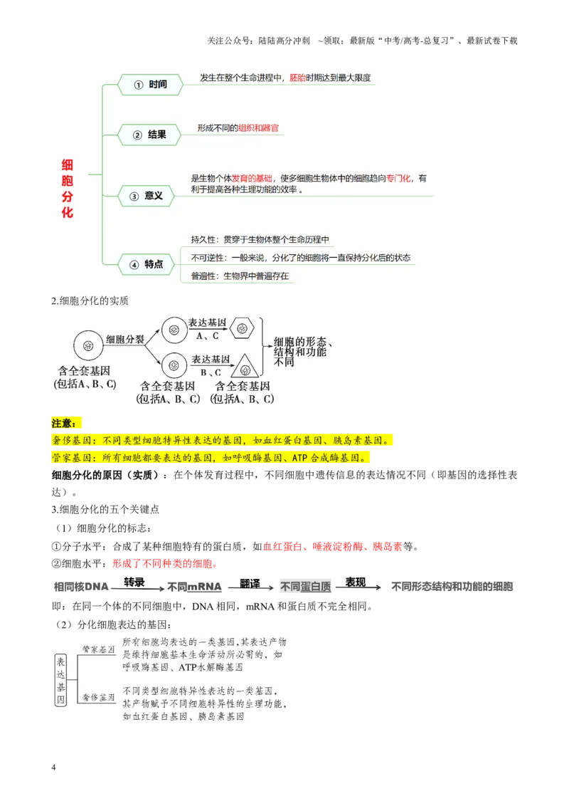 《第14讲细胞的分化、衰老、死亡和癌变（讲义）（学生版）_06-生物-高考总复习_一轮复习_2025年_2025年高考生物一轮复习讲义+练习+课件（新教材新高考）_第四单元细胞的生命历程》第4页预览