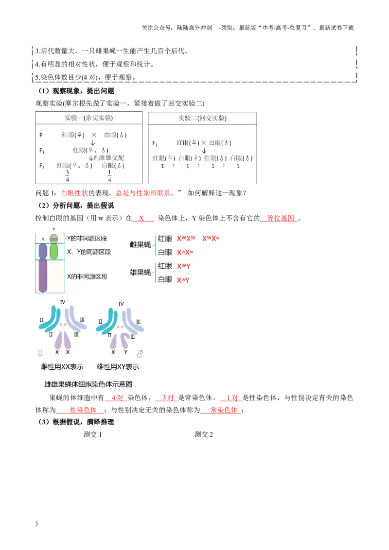 《第17讲伴性遗传和人类遗传病（讲义）（教师版）_06-生物-高考总复习_一轮复习_2025年_2025年新高考生物一轮复习讲义PPT知识点习题训_资料_第五单元基因的传递规律》第5页预览