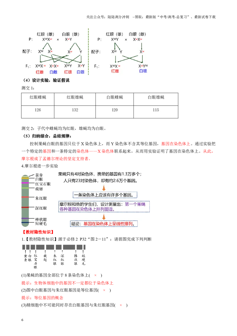 《第17讲伴性遗传和人类遗传病（讲义）（教师版）_06-生物-高考总复习_一轮复习_2025年_2025年新高考生物一轮复习讲义PPT知识点习题训_资料_第五单元基因的传递规律》第6页预览