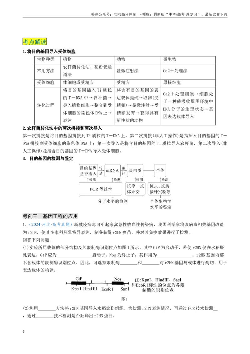 《专题12基因工程（新高考通用）（教师版）_06-生物-高考总复习_专项复习_2025年_2025年高考生物真题题源解密（新高考通用）》第6页预览