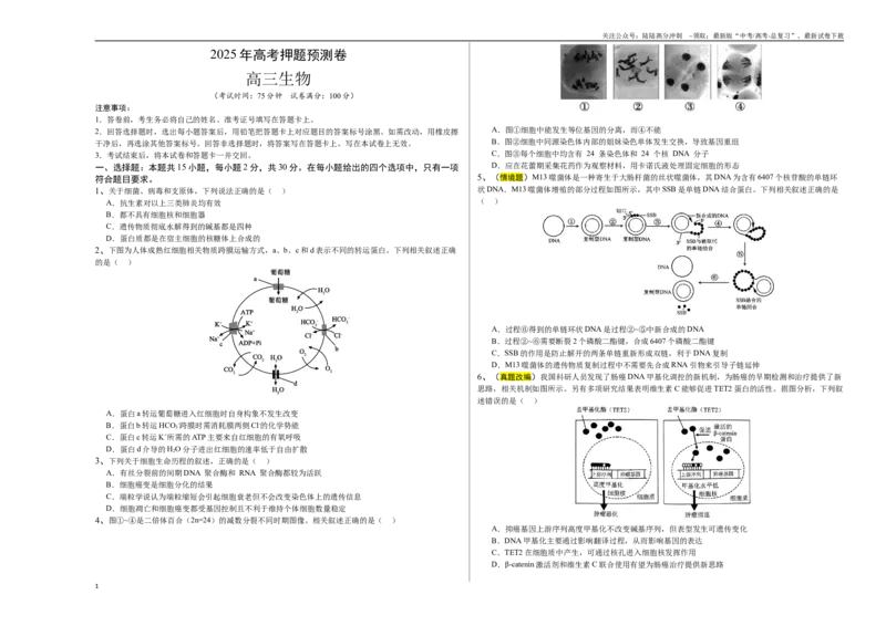 《生物（江苏卷02）（考试版A3）_06-生物-高考总复习_专项复习_2025年_2025年高考押题预测卷（多地区）生物》第1页预览