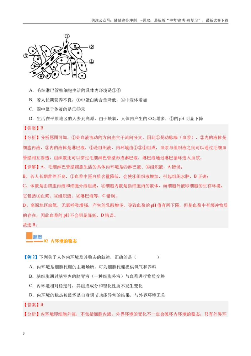 《专题13内环境与体液调节（8大题型）（教师版）_06-生物-高考总复习_一轮复习_2025年_2025年高考生物一轮复习题型全覆盖练习（新高考通用）》第3页预览