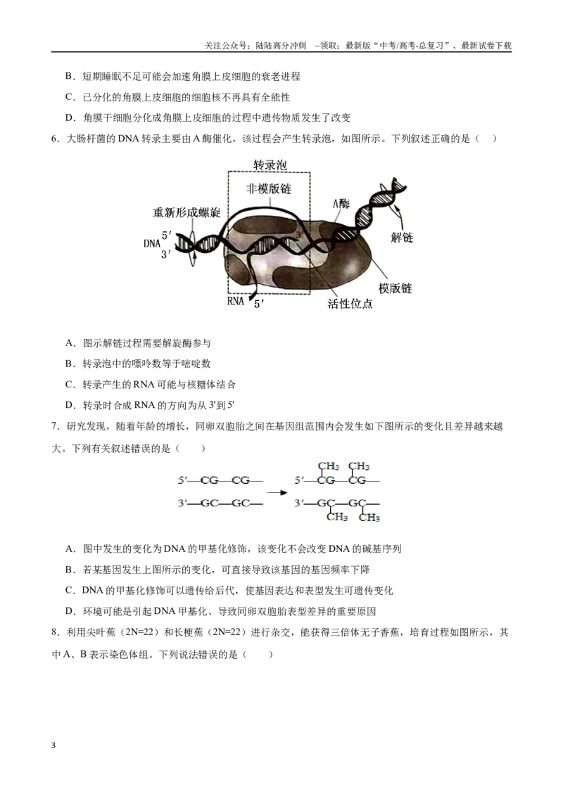 《生物（贵州卷）（考试版）_06-生物-高考总复习_专项复习_2025年_2025年高考第一二三次模拟卷（多地区）生物_2025年高考生物第三次模拟考试21套_生物（贵州卷）》第3页预览