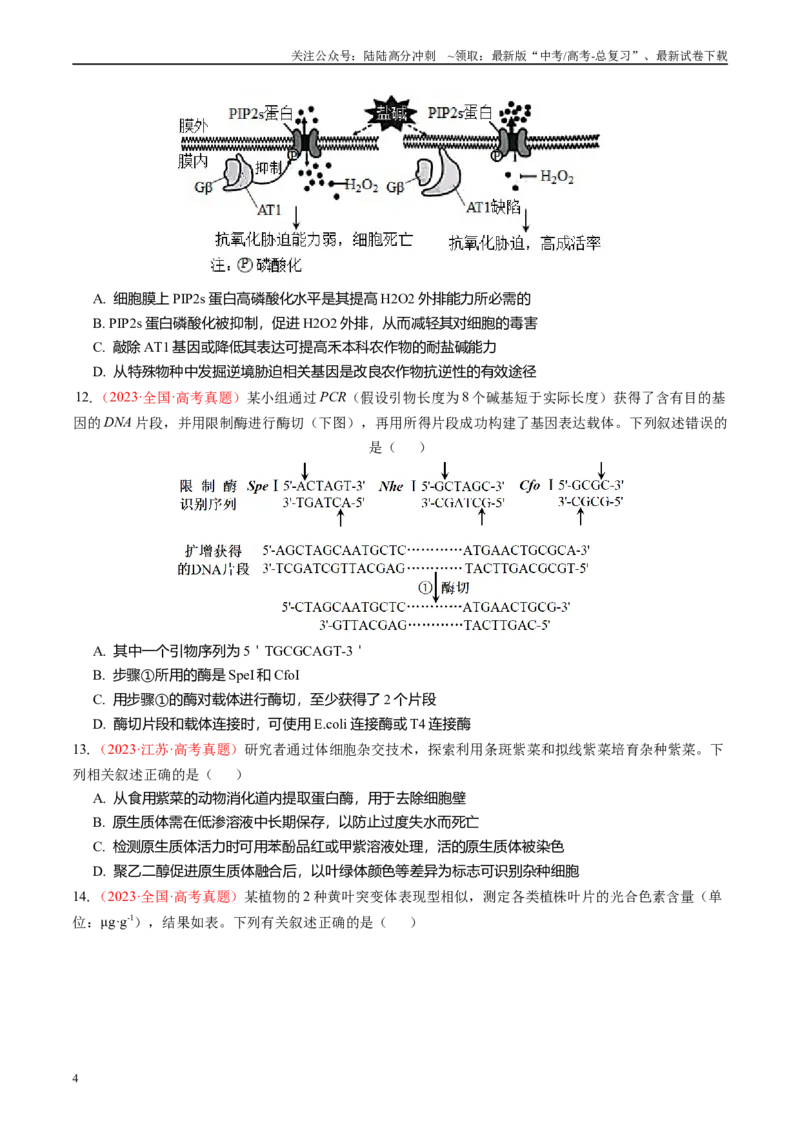 《真题重组卷（黑龙江、吉林专用）（原卷版）_06-生物-高考总复习_二轮复习_2024年_2024年高考生物真题重组卷二模（新高考七省专用》第4页预览