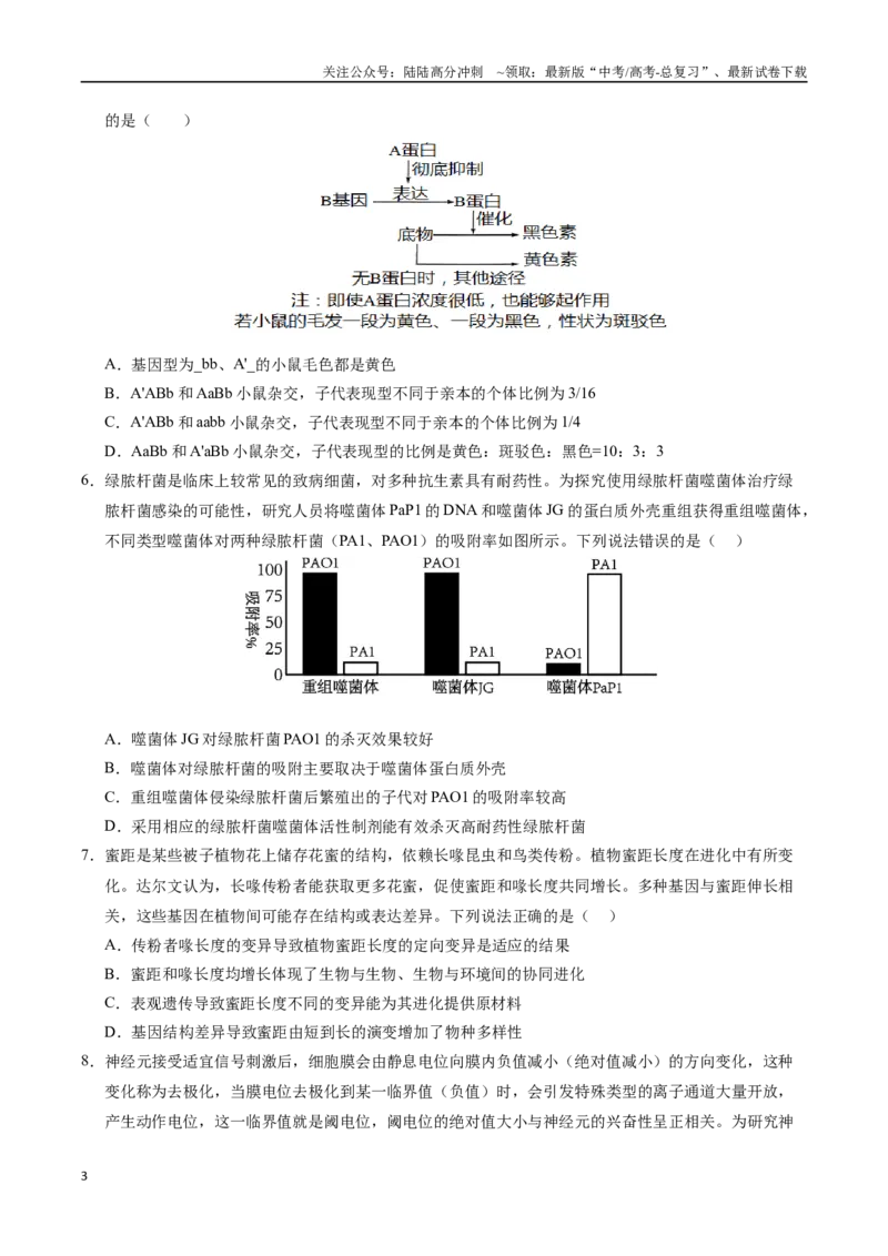 《生物（重庆卷）（考试版）_06-生物-高考总复习_专项复习_2025年_2025年高考第一二三次模拟卷（多地区）生物_2025年高考生物第二次模拟卷26套_生物（重庆卷）》第3页预览