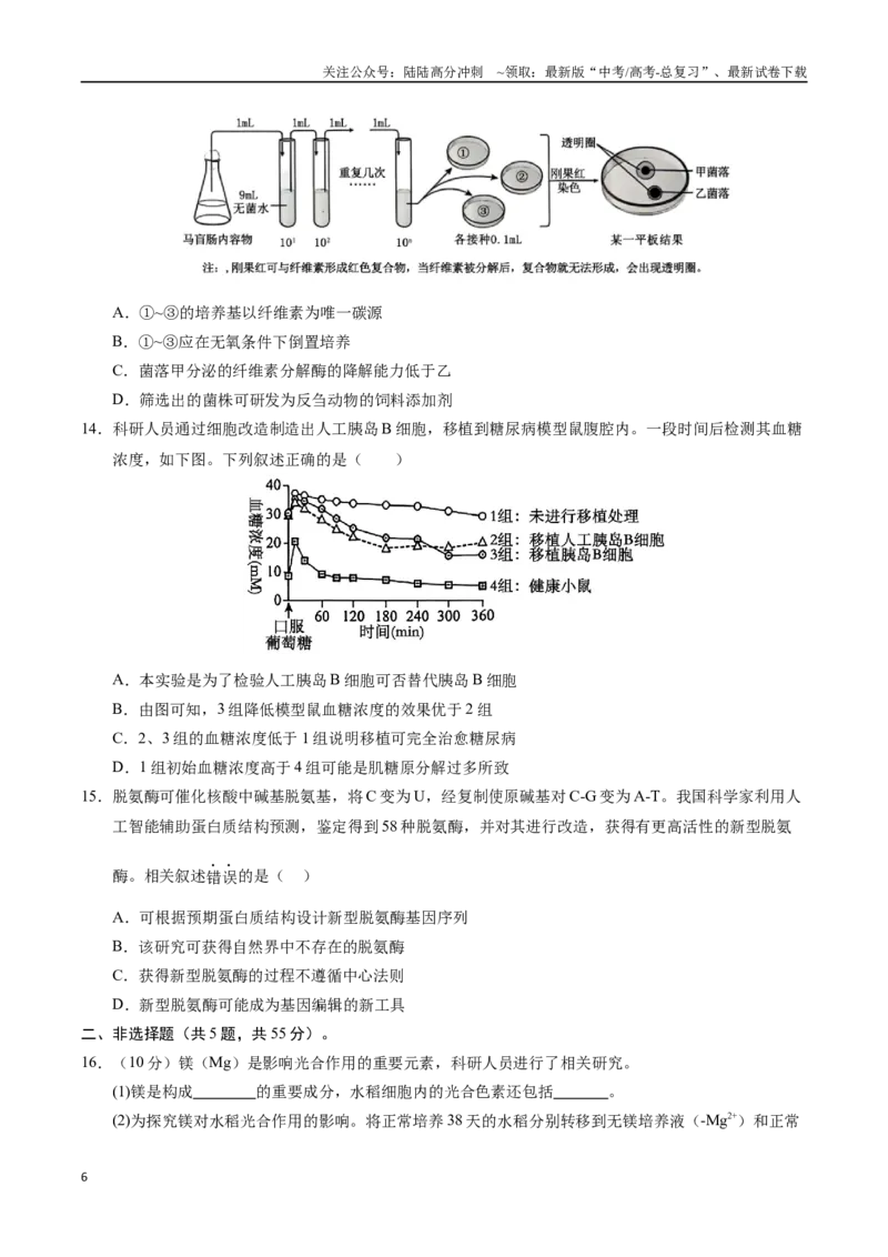 《生物（重庆卷）（考试版）_06-生物-高考总复习_专项复习_2025年_2025年高考第一二三次模拟卷（多地区）生物_2025年高考生物第二次模拟卷26套_生物（重庆卷）》第6页预览