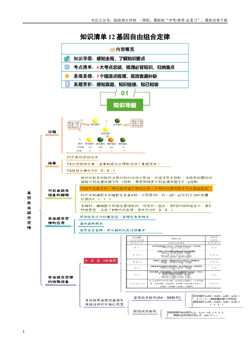 《知识清单12基因自由组合定律（4大考点+3个易错点）_06-生物-高考总复习_一轮复习_2025年_2025年高考生物一轮复习知识清单（全国通用）》第1页预览