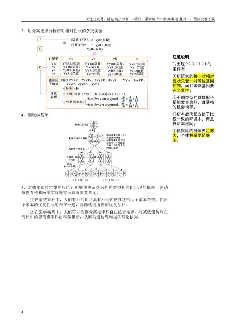 《知识清单12基因自由组合定律（4大考点+3个易错点）_06-生物-高考总复习_一轮复习_2025年_2025年高考生物一轮复习知识清单（全国通用）》第3页预览